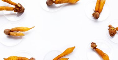 Beyaz arkaplanda parmak kökünden yapılmış çerçeve.