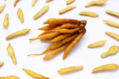 Beyaz arkaplanda parmak kökü.