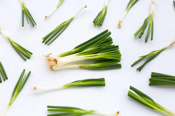 Spring Onions White Background — Stock Photo, Image