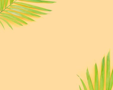 Sarı arka planda yeşil palmiye yaprakları.