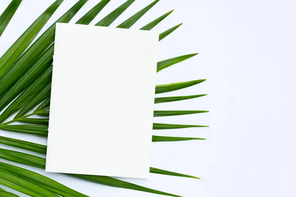 Papel Branco Com Folhas Palma Tropicais Sobre Fundo Branco — Fotografia de Stock