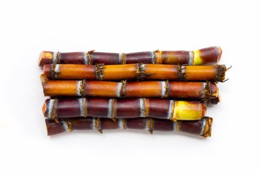 Beyaz zemin üzerine şeker kamışı.