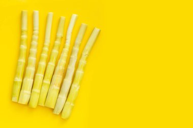 Sarı arka planda korunmuş bambu filizi.