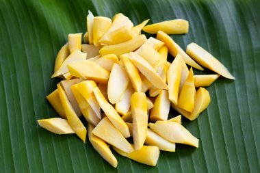 Muz yaprağında korunmuş bambu filizi