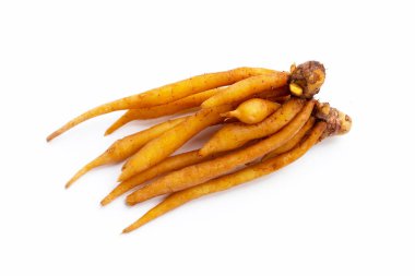 Beyaz arka plan üzerinde parmak kök.