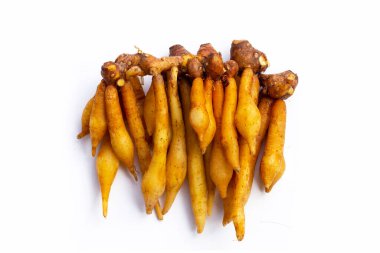 Beyaz arkaplanda parmak kökü.