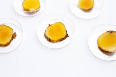 Beyaz arka planda Phlai dilimleri, Cassumumr zencefili veya zingiber montanyumu.