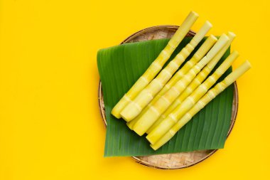 Bambu filizi sarı arka planda bambu sepetinde korunmuş..