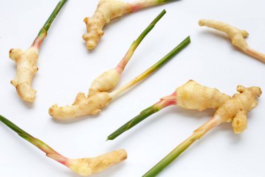 Beyaz arka planda genç kızıl.