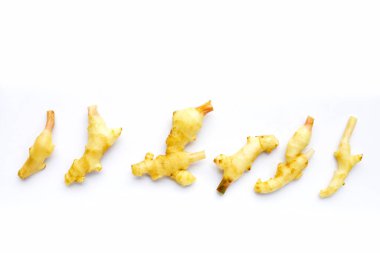 Beyaz arka planda genç kızıl.