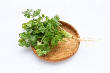 Beyaz arkaplanda taze kişniş.