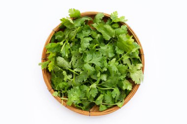 Beyaz arkaplanda taze kişniş yaprakları.