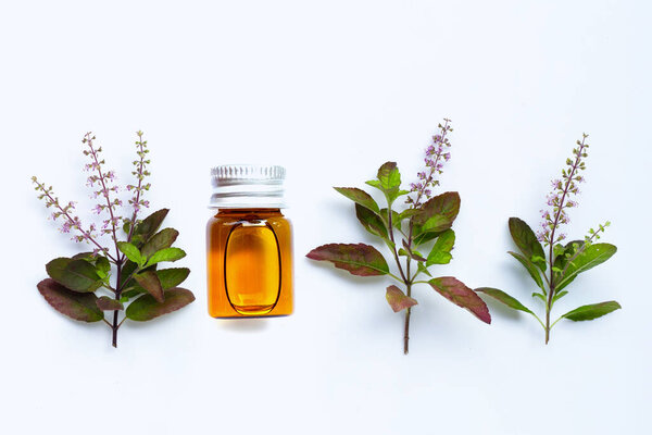Essential oil bottle with fresh holy basil leaves and flower on white background.