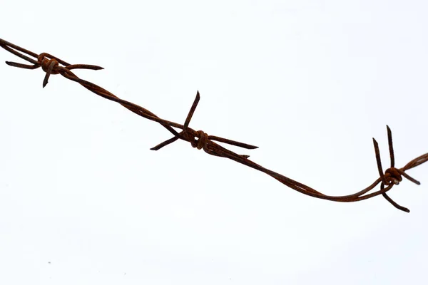 Rusty Barb Wire Isolated White Background — Stock Photo, Image
