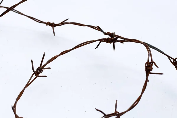 Rostiger Stacheldraht Isoliert Auf Weißem Hintergrund — Stockfoto