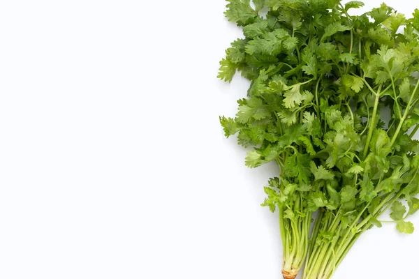 Fresh Coriander Leaves White Background — Stock Photo, Image