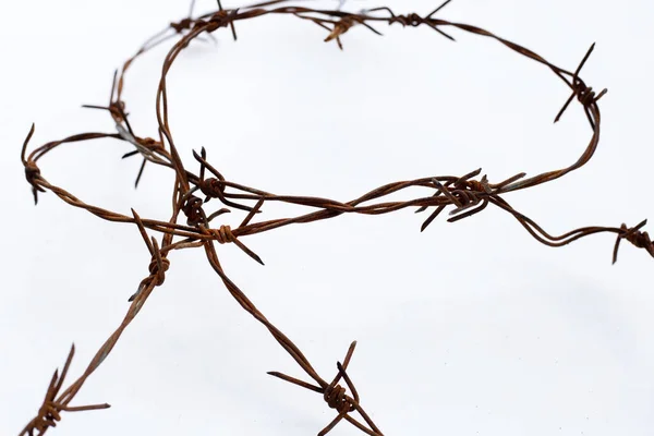 Rostiger Stacheldraht Isoliert Auf Weißem Hintergrund — Stockfoto