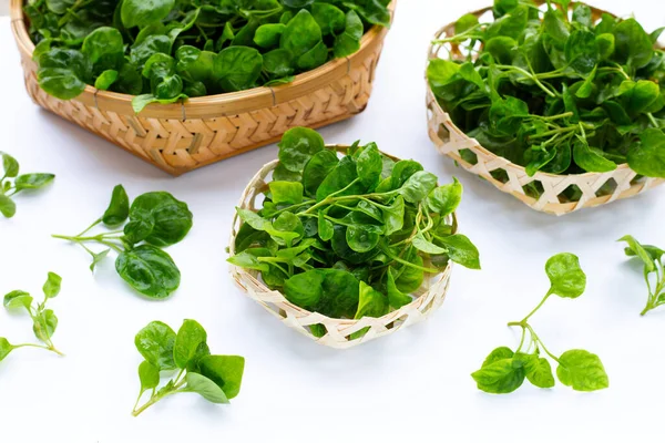 Fresh Watercress White Background — Stock Photo, Image