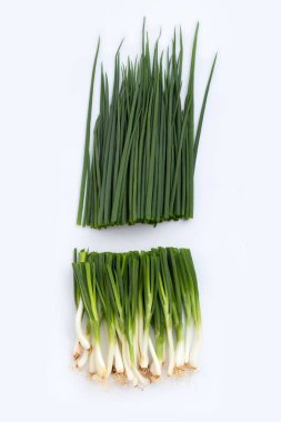 Beyaz arkaplanda taze soğan