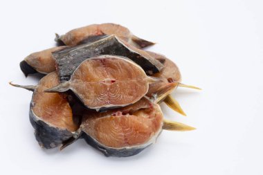 Yayınbalığı beyaz arkaplandaki parçaları kesti.