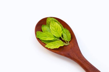 Kutsal fesleğen yaprakları beyaz arka planda tahta kaşıkta.