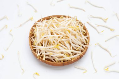 Beyaz Arkaplanda Fasulye Filizleri