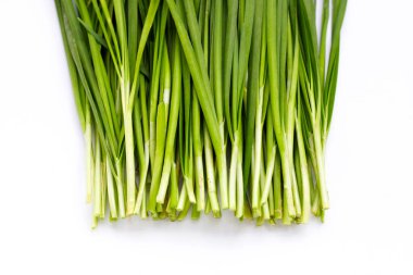 Beyaz arkaplanda taze Çin Chive yaprakları.