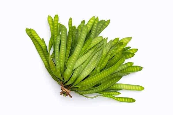 Fruta Joven Leucaena Leucocepphala Sobre Fondo Blanco —  Fotos de Stock