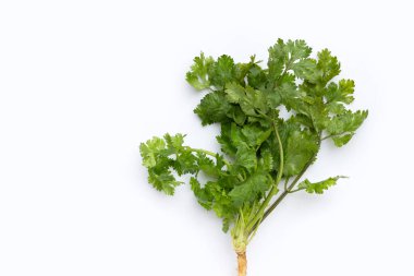 Beyaz arkaplanda taze kişniş yaprakları.