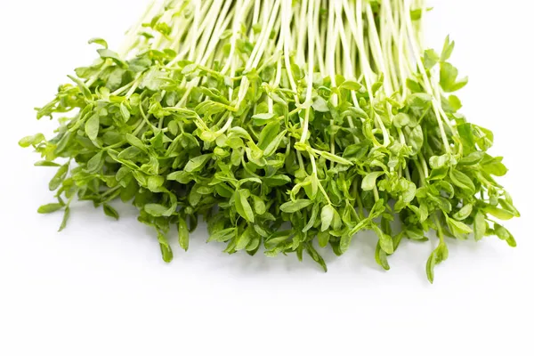 Pea Sprouts White Background — Stock Photo, Image
