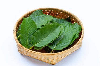 Mitragyna speciosa, beyaz arkaplanda bambu sepetinde taze kratom yaprakları