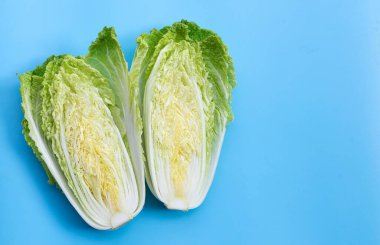 Mavi arka planda Çin lahanası. Boşluğu kopyala