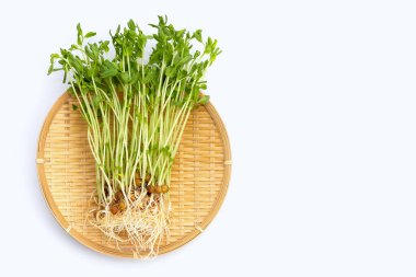 Bezelye filizi beyaz arka planda yuvarlak bambu sepetinde.