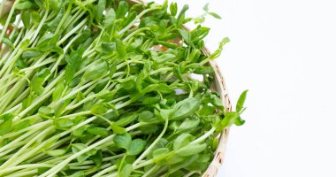 beyaz zemin üzerine bezelye filizlenir.