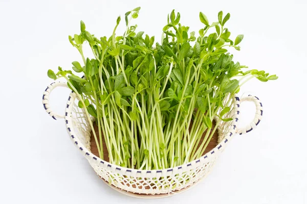 Erwten Sprouts Mand Witte Achtergrond — Stockfoto
