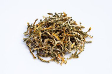 Beyaz arka planda kurumuş acı kabak..