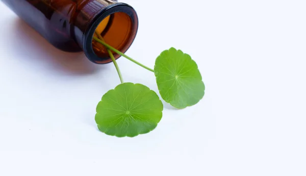 Свежий Зеленый Центелла Азиатские Листья Бутылке Медицины Белом Фоне — стоковое фото