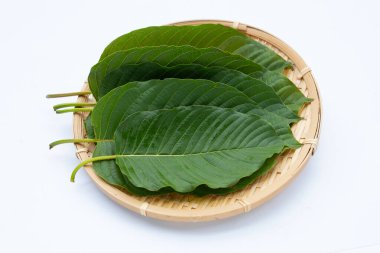 Mitragyna speciosa, taze kratom beyaz arkaplanda yuvarlak bambu sepetinde ayrılıyor