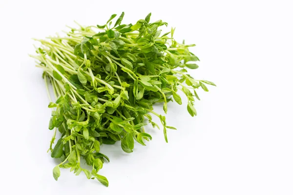 Pea Sprouts White Background — Stock Photo, Image