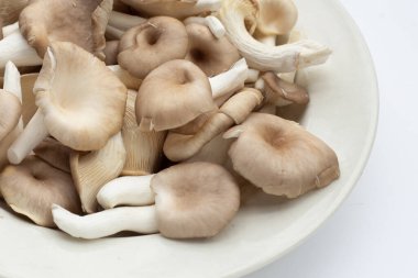 Beyaz tabakta taze istiridye mantarı. 