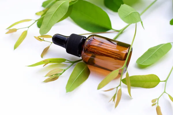 Flasche Ätherisches Eukalyptusöl Mit Blättern Auf Weißem Hintergrund — Stockfoto