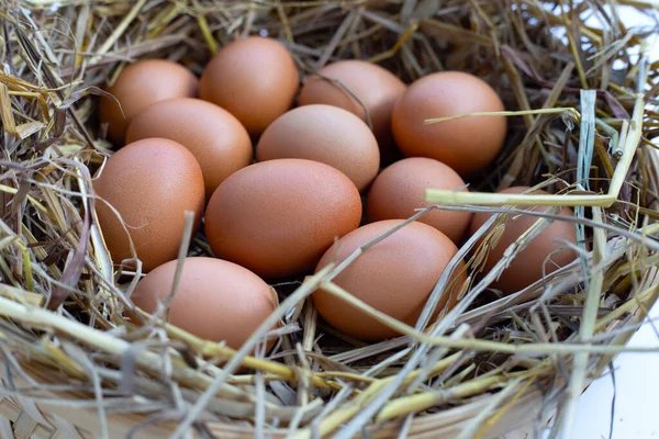 Свіжі Органічні Яйця Солом Яному Гнізді — стокове фото