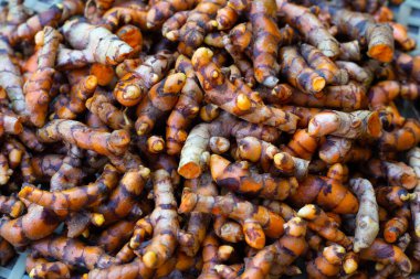 Beyaz zemin üzerinde ahşap kaşık üzerinde zerdeçal kökleri.