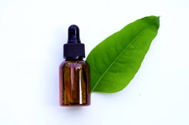 Beyaz arka planda yaprakları ile Eucalyptus esansiyel yağ şişesi.
