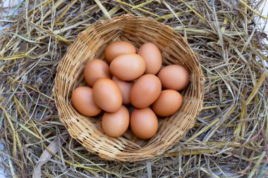 Bambu sepetindeki taze organik yumurtalar.