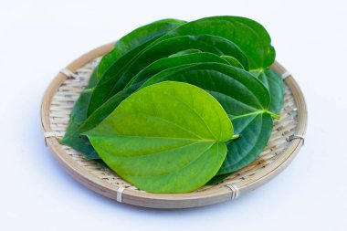 Yeşil tembul yaprakları, taze piper betle beyaz arka plan üzerinde