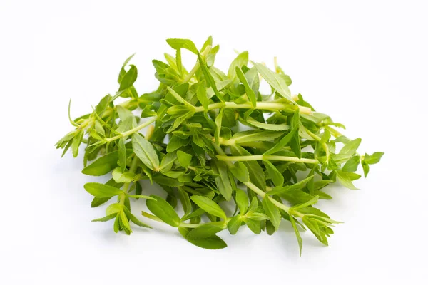 Fresh Paddy Rice Herb White Background — Stock Photo, Image