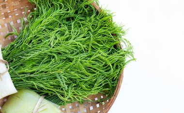 Sazan ya da Akasya yaprakları beyaz sırt grond üzerinde bambu sepeti içinde tırmanıyor.