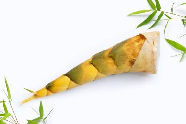 Beyaz arka planda bambu filizleri.