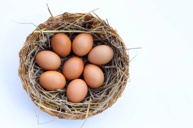 Saman yuvasında taze organik yumurtalar